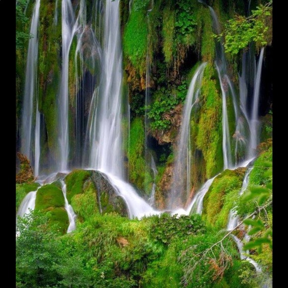 Meet your Posher, Mario - Picture 1 of 3